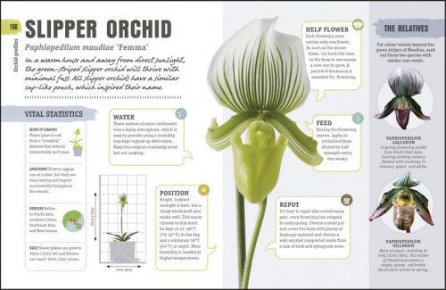Happy Orchid: Help it Flower, Watch it Flourish - Image 2