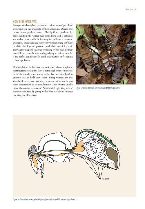 Products of the Hive:  A Practical Handbook - Image 3
