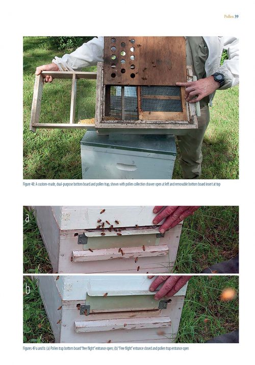 Products of the Hive:  A Practical Handbook - Image 2