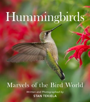Hummingbirds:  Marvels of the Bird World
