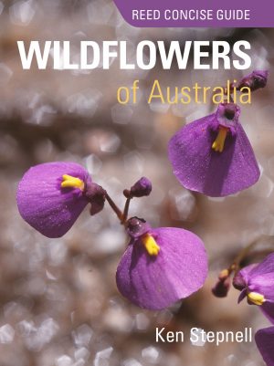 Reed Concise Guide:  Wildflowers of Australia