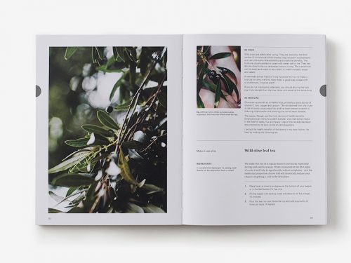 Eat Weeds: A Field Guide to Foraging: How to Identify, Harvest, Eat and Use Wild Plants - Image 2