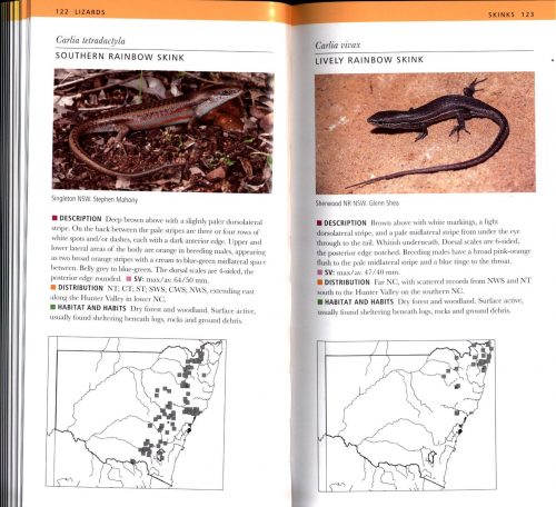 A Field Guide to Reptiles of New South Wales (Fourth Edition) - Image 2
