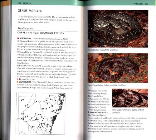 A Field Guide to Reptiles of New South Wales (Fourth Edition) - Image 3
