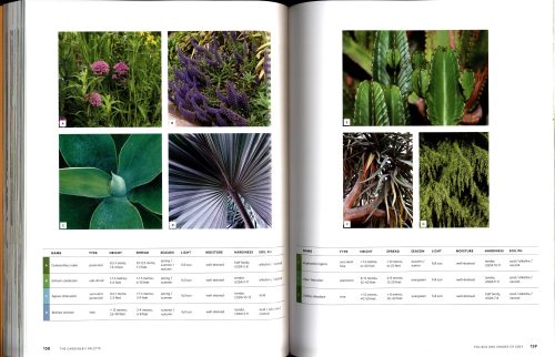 The Gardener's Palette:  Creating Colour Harmony in the Garden - Image 6