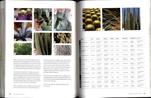The Gardener's Palette:  Creating Colour Harmony in the Garden - Image 7