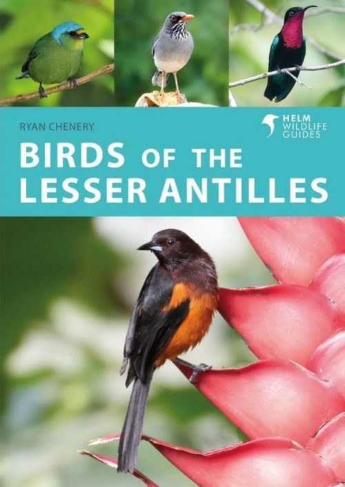 Birds of the Lesser Antilles:  A Photographic Guide (Helm Field Guide)
