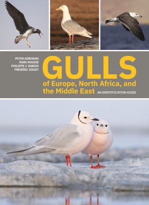 Gulls of Europe, North Africa, and the Middle East:  An Identification Guide