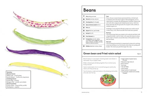 The Kitchen Garden: Sowing, Growing and Cooking for the Garden Enthusiast - Image 3