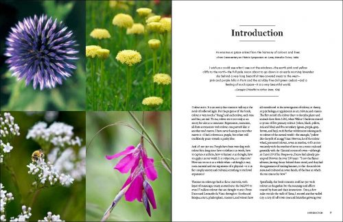 The Gardener's Palette:  Creating Colour Harmony in the Garden - Image 3