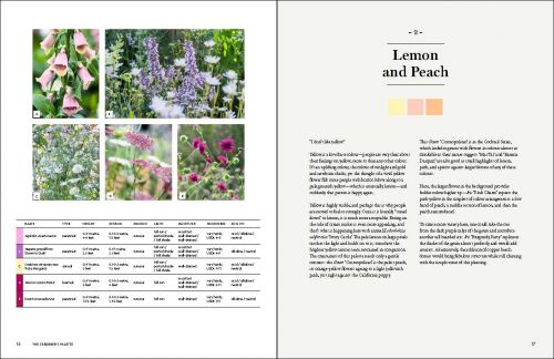 The Gardener's Palette:  Creating Colour Harmony in the Garden - Image 4