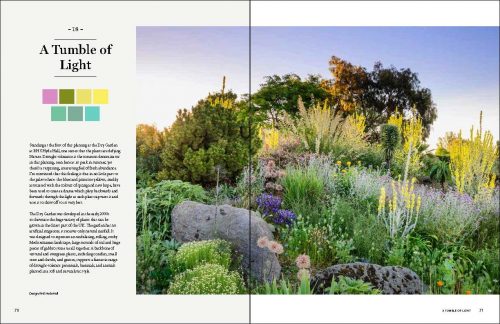 The Gardener's Palette:  Creating Colour Harmony in the Garden - Image 5
