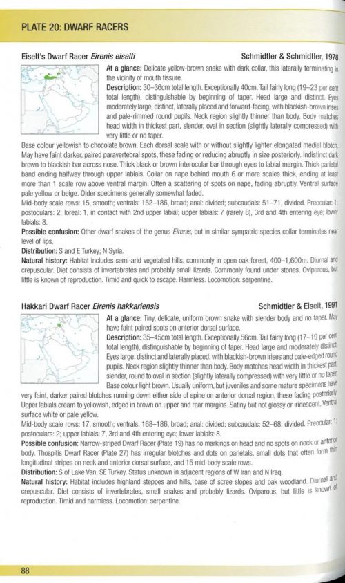 Field Guide to Snakes of the Middle East - Image 5