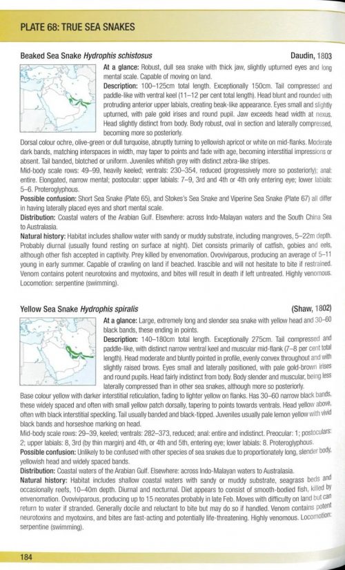 Field Guide to Snakes of the Middle East - Image 3