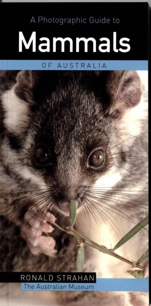 A Photographic Guide to Mammals of Australia