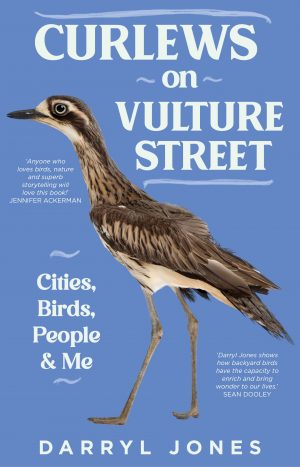 Curlews on Vulture Street: Cities, Birds, People and Me