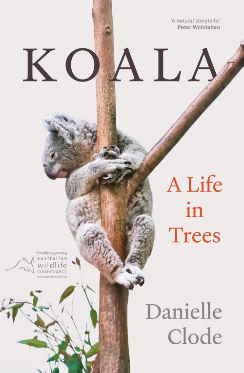 Koala:  A Life in Trees