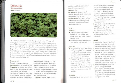 Starting Out With Herbs - Image 4