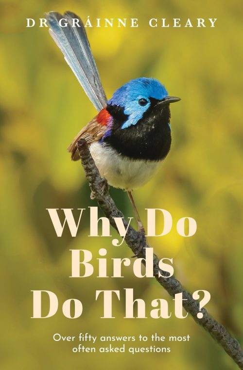 Why Do Birds Do That? Over Fifty Answers to the Most Often Asked Questions