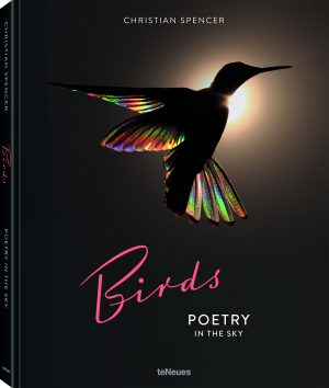 Birds:  Poetry in the Sky