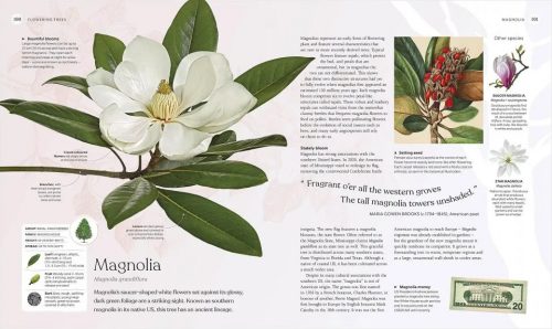 The Tree Book:  The Stories, Science, and History of Trees - Image 5