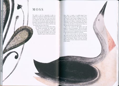The Book of Vanishing Species: Illustrated Lives - Image 2