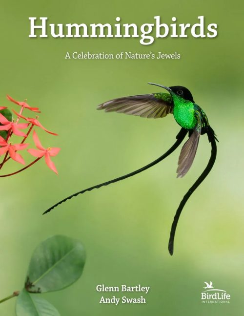 Hummingbirds:  A Celebration of Nature's Jewels