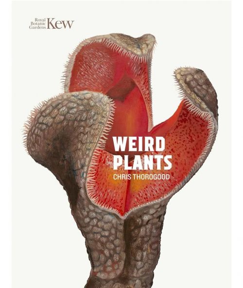 Weird Plants