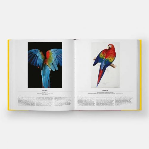 Bird: Exploring the Winged World - Image 3