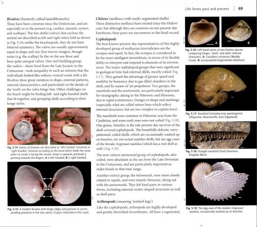 Stories Beneath our Feet:  Exploring the Geology and Landscapes of Victoria and Surrounds - Image 2