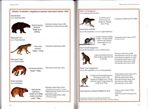 Tunnels in Time:  The Discovery, Ecology & Extinction of Australia's Marsupial Megafauna - Image 2