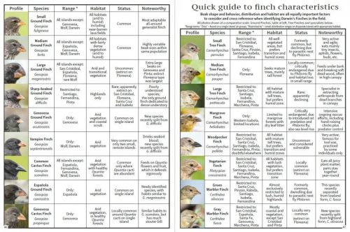A Pocket Guide to Birds of Galápagos - Image 4
