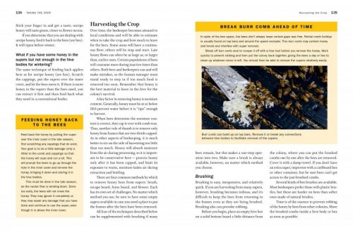 QueenSpotting: Meet the Remarkable Queen Bee and Discover the Drama at the Heart of the Hive - Image 2