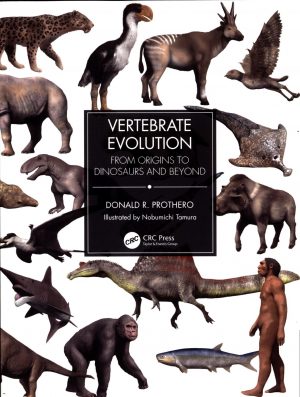 Vertebrate Evolution:  From Origins to Dinosaurs and Beyond