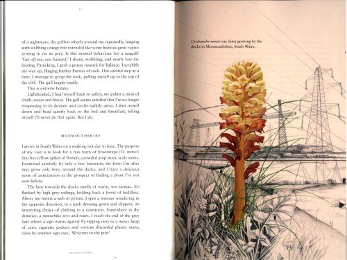 Chasing Plants: Journeys with a Botanist Through Rainforests, Swamps, and Mountains - Image 2