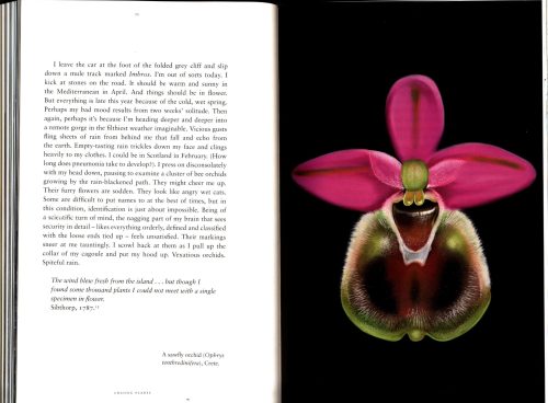Chasing Plants: Journeys with a Botanist Through Rainforests, Swamps, and Mountains - Image 3