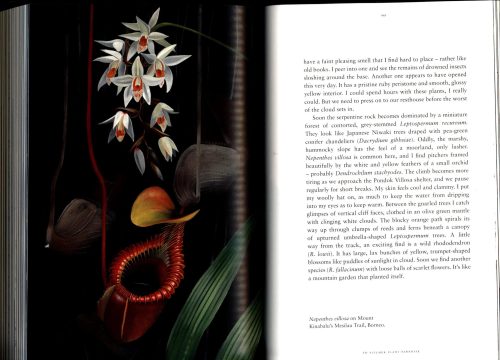 Chasing Plants: Journeys with a Botanist Through Rainforests, Swamps, and Mountains - Image 4