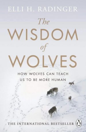 The Wisdom of Wolves:  How Wolves Can Teach Us To Be More Human