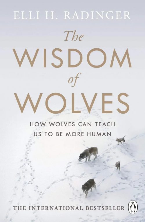 The Wisdom of Wolves:  How Wolves Can Teach Us To Be More Human