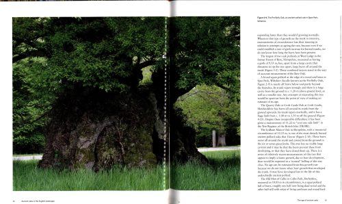 Ancient Oaks in the English Landscape (Second Edition) - Image 4