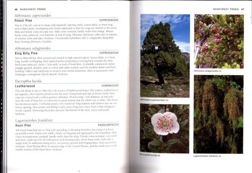 A Guide to Flowers & Plants of Tasmania (Sixth edition) - Image 2