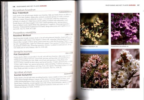 A Guide to Flowers & Plants of Tasmania (Sixth edition) - Image 3