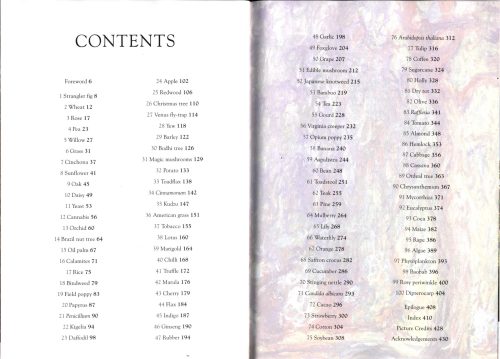 The History of the World in 100 Plants - Image 4