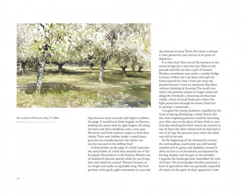 In the Footsteps of Audubon - Image 5