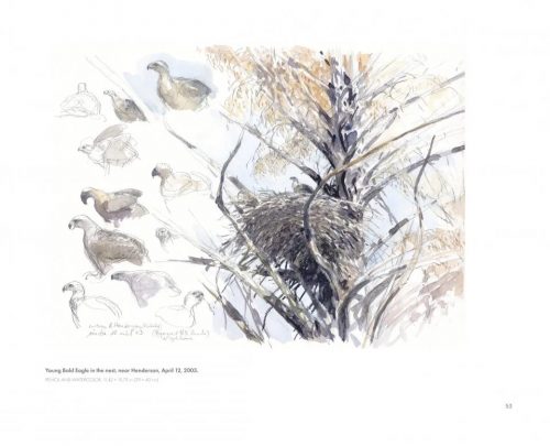 In the Footsteps of Audubon - Image 4