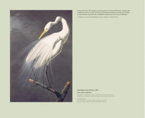 In the Footsteps of Audubon - Image 3