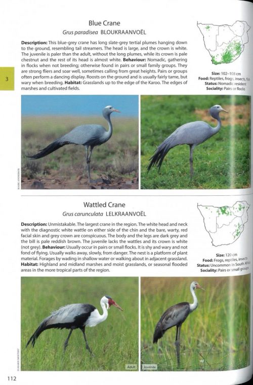 Birds of Southern Africa: The Complete Photographic Guide - Image 2