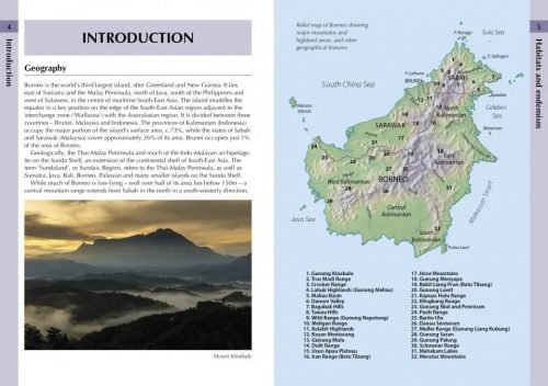 Birds of Borneo - Image 5