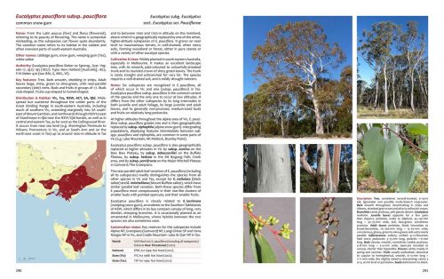 Native Eucalypts of Victoria and Tasmania:  South-eastern Australia - Image 3