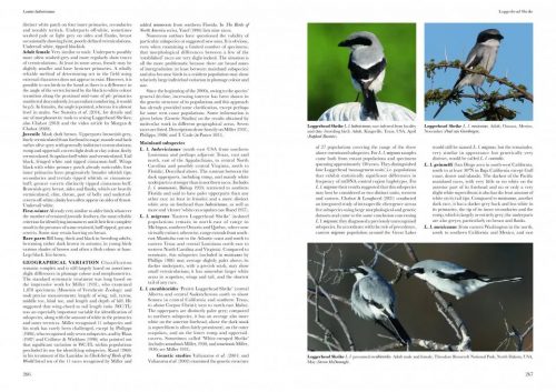 Shrikes of the World (Second Edition) - Image 2